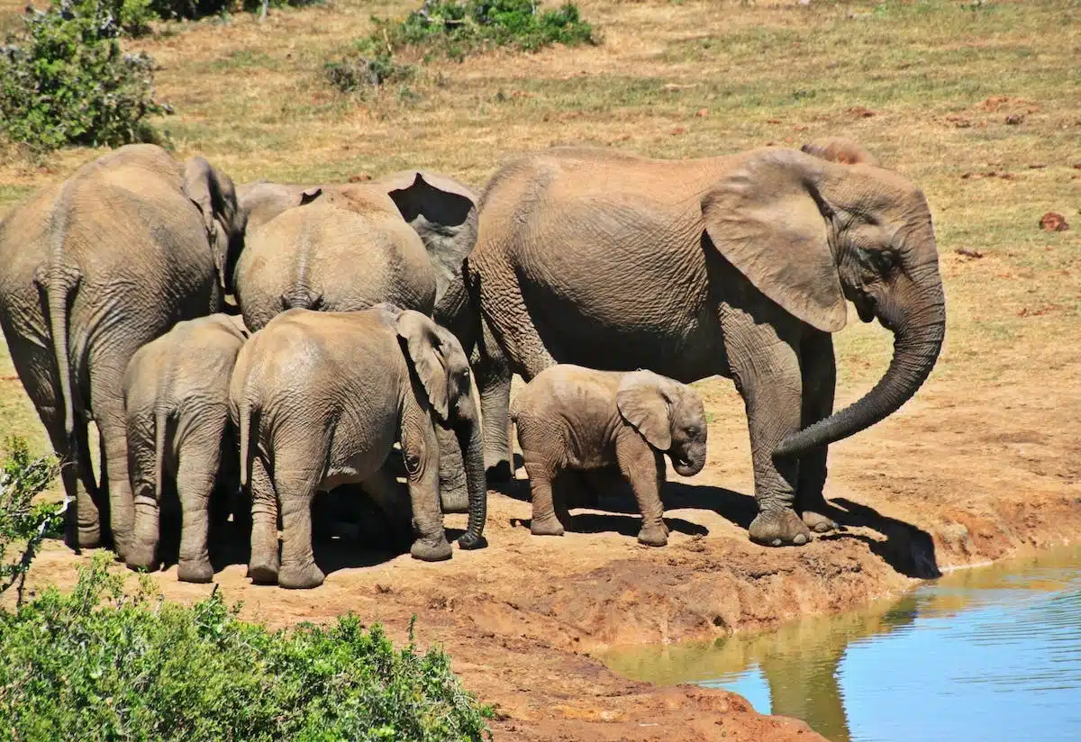 famille écotourisme