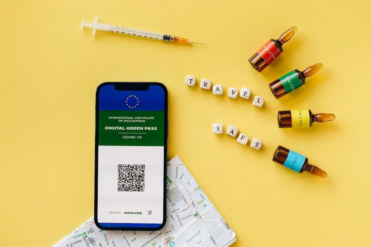 vaccination  voyage