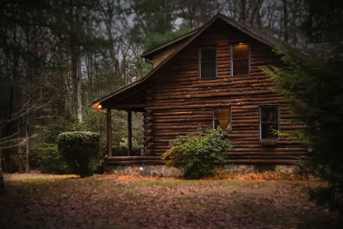 cabane forêt