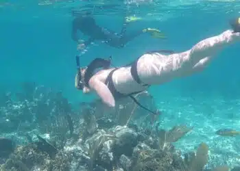 Plongée dans l'authenticité de la plage La Cadenelle un coin de paradis méconnu