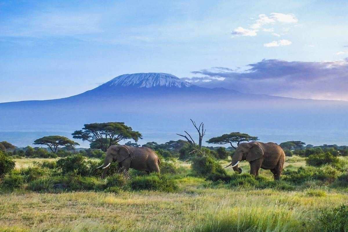 Préparer son voyage en Tanzanie : les démarches administratives à ne pas négliger