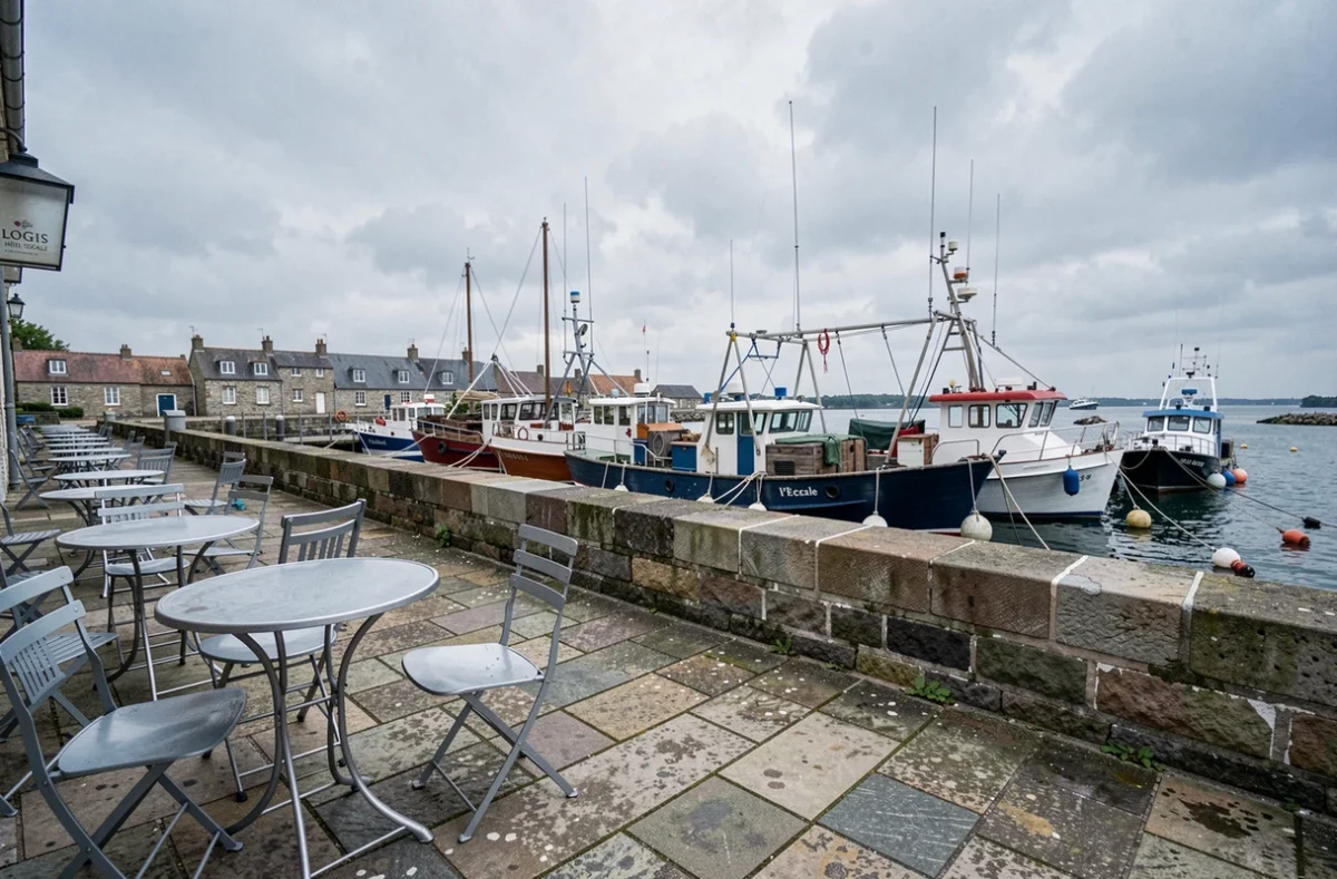 Terrasse du Logis Hôtel l'Escale avec vue sur le port et les bateaux de pêche amarrés