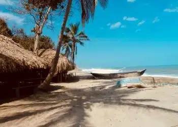 white and blue boat on beach during daytime