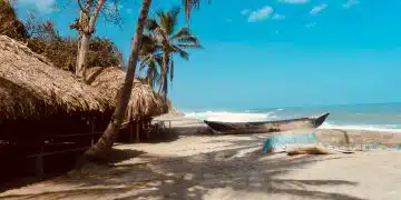 white and blue boat on beach during daytime