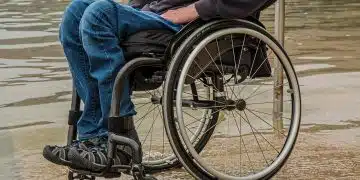 Quelles sont les excursions adaptées aux personnes en fauteuil roulant ?