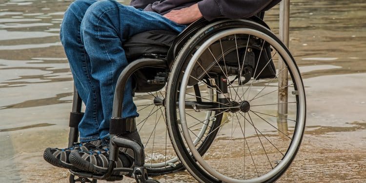 Quelles sont les excursions adaptées aux personnes en fauteuil roulant ?
